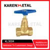 Premium Heavy-Duty Brass Globe Valve with Ergonomic Blue Handle