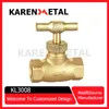 Premium Brass Stop Globe Valve with Sturdy Iron Handle